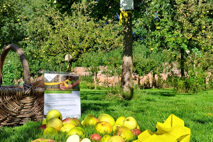  5.000 Bänder für die Wertschätzung von Lebensmitteln: Ernteprojekt „Gelbes Band“ erneut erfolgreich in Niedersachsen