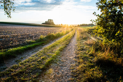 Weg_Romantik_Zukunft_Ausblick - © usk75-stock.adobe.com Weg_Romantik_Zukunft_Ausblick