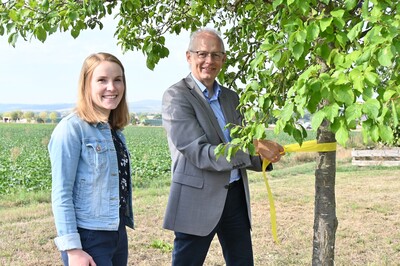 Prof. Dr. Ludwig Theuvsen kennzeichnet Obstbäume mit dem Gelben Band